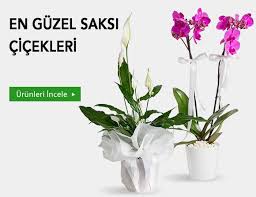 İzmir Alsancak Çiçekçi