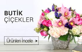 Atatürk Bulvarı çiçek   saksı çiçekleri