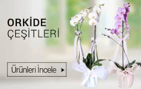 Alsancak Atatürk Bulvarı çiçekçiler butik çiçekler